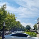 지혜의숲도서관 이미지