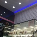 퍼피맘마 이미지