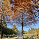 청산농장 | (태안 청산수목원) 태안 청산수목원 근처 몽산포해수욕장