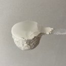 (주)피톨로지뉴트리션 | [내돈 내산] 피톨로지 솔티드 프로틴 구매 후기