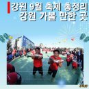 코스모스축제장 제방 | 2024 강원 축제 일정 9월 총정리 강원 가볼 만한 곳