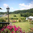 시영목장 이미지