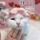 빈이벤트