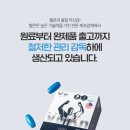 키마스토리