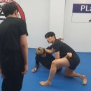 알파레슬링 네이버블로그