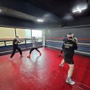 더 복싱 짐'엘' | 스트레스 해소 찾다가복싱에 꽂혀버렸어요 | 엘복싱 충주점 담백후기