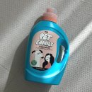 펫 패밀리 이미지