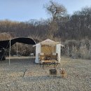 [파주 마실캠핑장 후기] 한적하고 여유로운 캠핑, 애견 동반까지 OK!