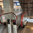 코오롱싸이언스밸리2차 | 구로디지털단지 맛집｜블루리본 받은 라마노피자 솔직 후기 (내돈내산)