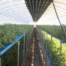 (주)진농 이미지