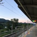 손병호농장 이미지