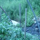 부산광역시 남구청 이미지