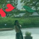 ACC 빅도어 시네마 | 국립아시아문화전당 acc에서 가을나기🍂🍁 (알록달록ACC, 빅도어시네마)