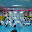 용인대 석사 서울시 대표 태권도 이미지