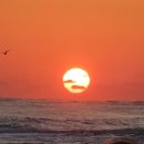 망상비치호텔 이미지