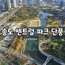센트럴파크 11 | 송도 센트럴 파크 11월 가을 단풍