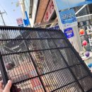 젠틀맨 | 속초청소 에어컨청소 젠틀맨클린 이용후기