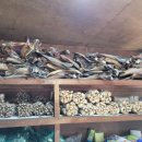 자유상회 이미지