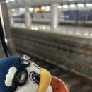 룰루막창 경산점 | [대구 라이온즈 파크] 대구 삼성 라이온즈 파크 야구 롯데 삼성 개막전 원정응원석 후기 라팍 음식 교통편