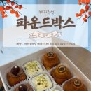 렉커토르테