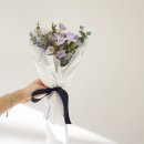 디어리플레르 이미지