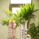 (주)태원모터스 이미지