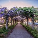 두월노을마을 이미지