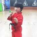 대일 합기도 체육관 이미지