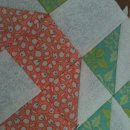 단아하개 이미지