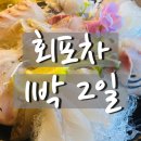 회포차1박2일