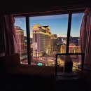 인앤아웃호텔 | [미국서부] 라스베가스 가성비 최고 '플라밍고 호텔' &amp; '인앤아웃버거'