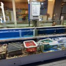 복수산해물탕 이미지