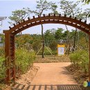 명동파크장 이미지