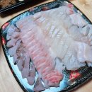 365활어회포장 | 안면도 수산시장 맛집 수산365 광어 참돔 우럭회 포장후기 매운탕이 맛있는 곳