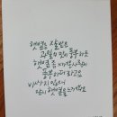 워쉬보이크리닝