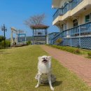 서쪽하늘펜션 이미지