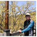 버드실샘 이미지