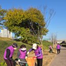 세계일보 조사위원 대구 동구협의회, 지역 정화운동 ‘줍깅’ 및 11월 월례회의 개최 이미지