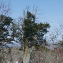 통리장 코스 이미지