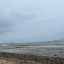 태안 머드캠프 펜션 이미지