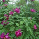 으뜸합기도체육관 이미지