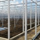 유리농장 이미지