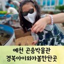 예천 가볼만한곳 예천곤충생태원(실내 곤충체험관편)