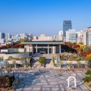 예술이네 이미지