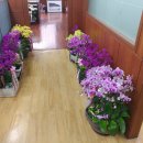 법원로 15 이미지