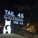 강아지놀이터 | [테일45] 용인애견운동장 프라이빗 대관 강아지놀이터 후기