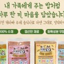 홍천 개아빠 이미지