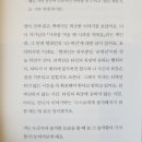 부비프 이미지