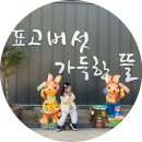 창녕농장 | 경남 창녕 체험농장 표고버섯가득한뜰 다녀온 후기 추천해요 :)