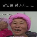 생활의 달인 미용실..ㅋㅋㅋㅋ 이미지